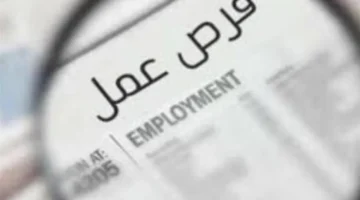 تسجيل سريع.. خطوات سهلة للتسجيل في بوابة الوظائف الحكومية